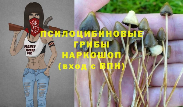 соль курить ск Абаза