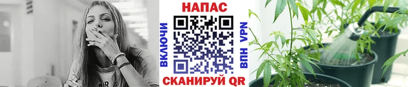 Бошки Шишки гибрид Питкяранта
